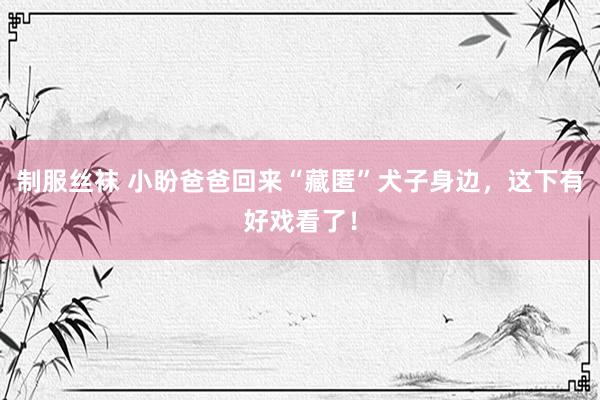 制服丝袜 小盼爸爸回来“藏匿”犬子身边，这下有好戏看了！
