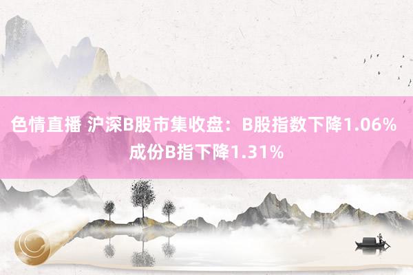 色情直播 沪深B股市集收盘：B股指数下降1.06% 成份B指下降1.31%