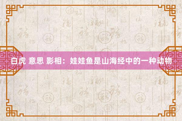 白虎 意思 影相：娃娃鱼是山海经中的一种动物