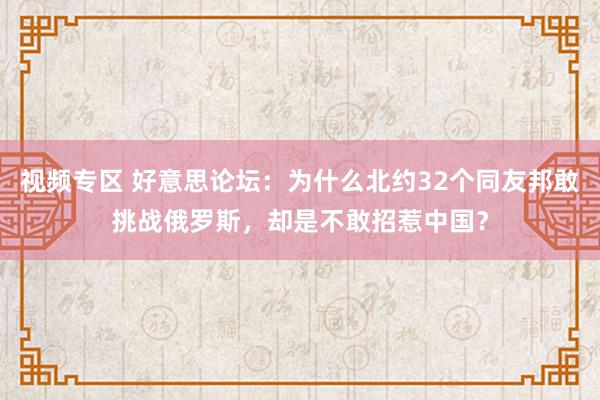 视频专区 好意思论坛：为什么北约32个同友邦敢挑战俄罗斯，却是不敢招惹中国？