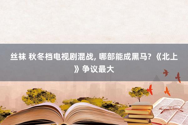 丝袜 秋冬档电视剧混战, 哪部能成黑马? 《北上》争议最大