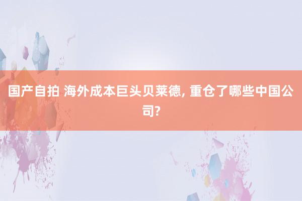 国产自拍 海外成本巨头贝莱德, 重仓了哪些中国公司?